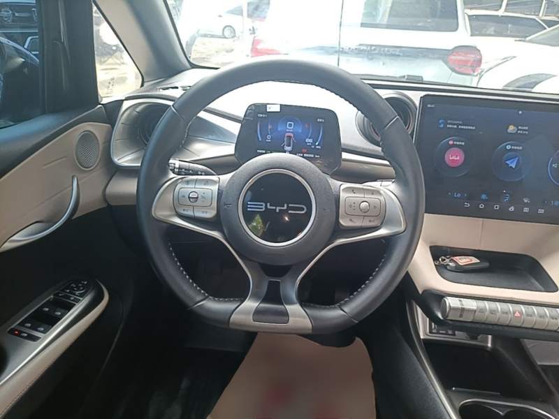 Used BYD Dolphin 2023 420 km Fashion Edition — 10
