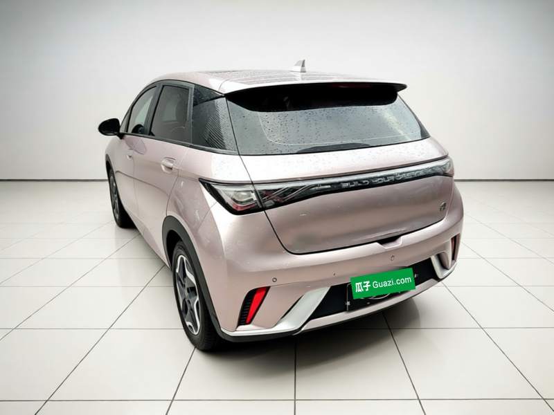 Used BYD Dolphin 2021 405 km Fashion Edition — 4