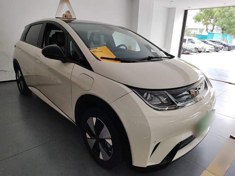 Used BYD Dolphin 2023 420 km Fashion Edition — 3