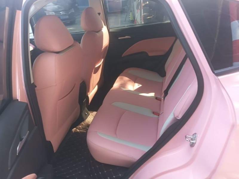 Used NETA V 2022 Chao 400 Lite Pink Custom Edition — 16