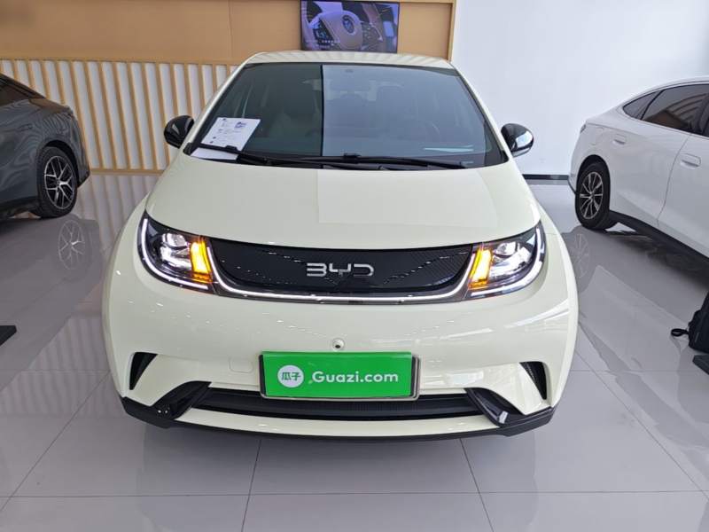 Used BYD Dolphin 2025 420km Free Edition — 2