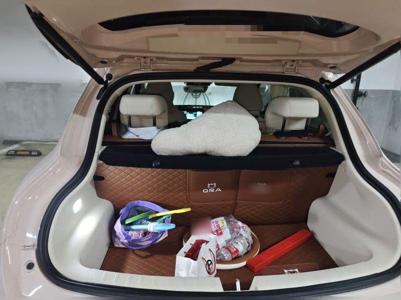 Used ORA Good Cat 2024 401 km Range Luxury Version 135 kW — 15