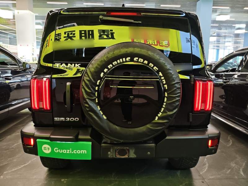 Used Tank 300 2023 Off-Road Edition 2.0T Conqueror — 5