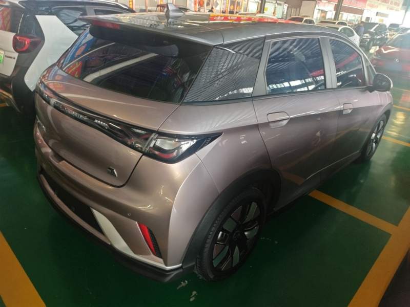 Used BYD Dolphin 2021 401km Knight Edition — 6
