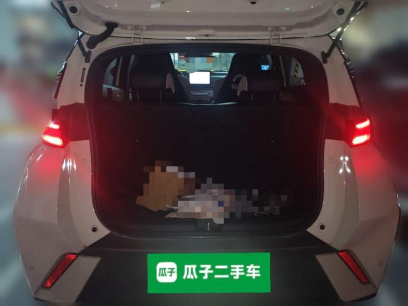 Used BYD Seagull 2024 Honor Edition 305km Freedom Version — 20