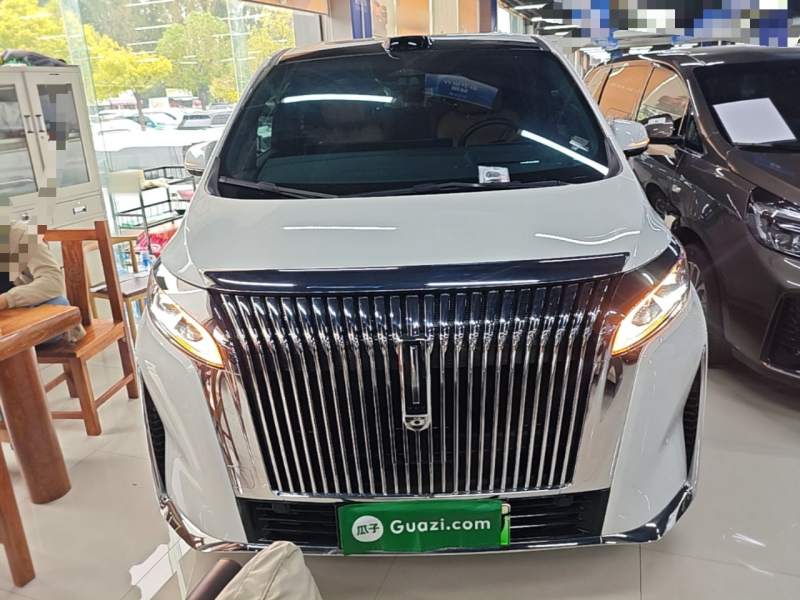 Used Wey Gaoshan 2025 Four-Wheel Drive Alpine 8 — 2