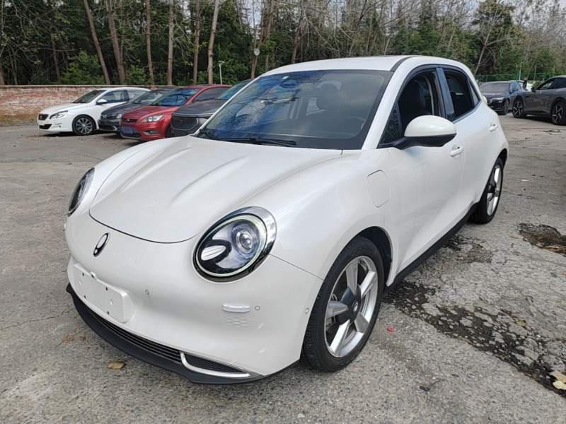 Used ORA Good Cat 2021 500km Long-Range Poseidon Edition Lithium-Ion Battery — 1