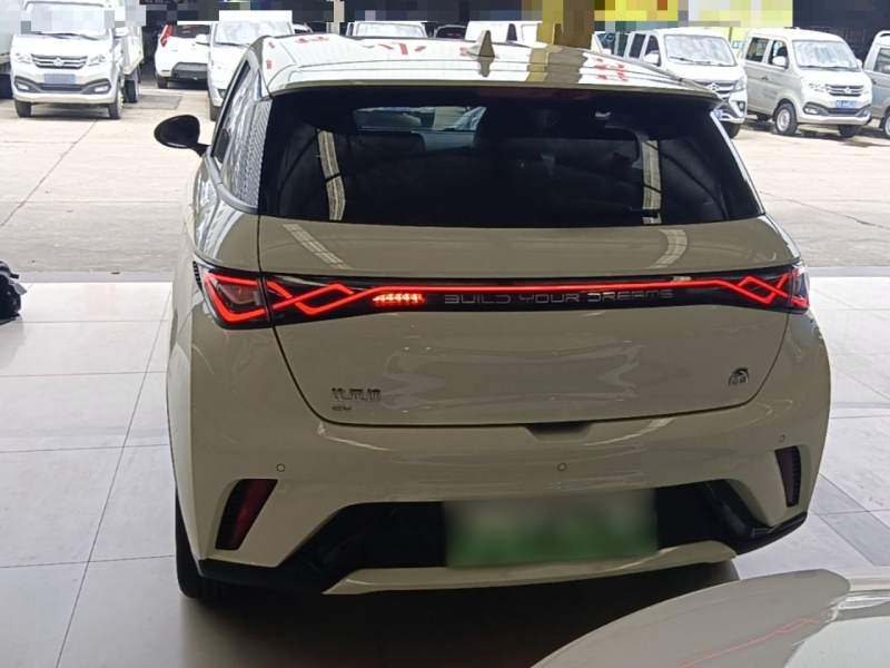 Used BYD Dolphin 2023 420 km Free Version — 5