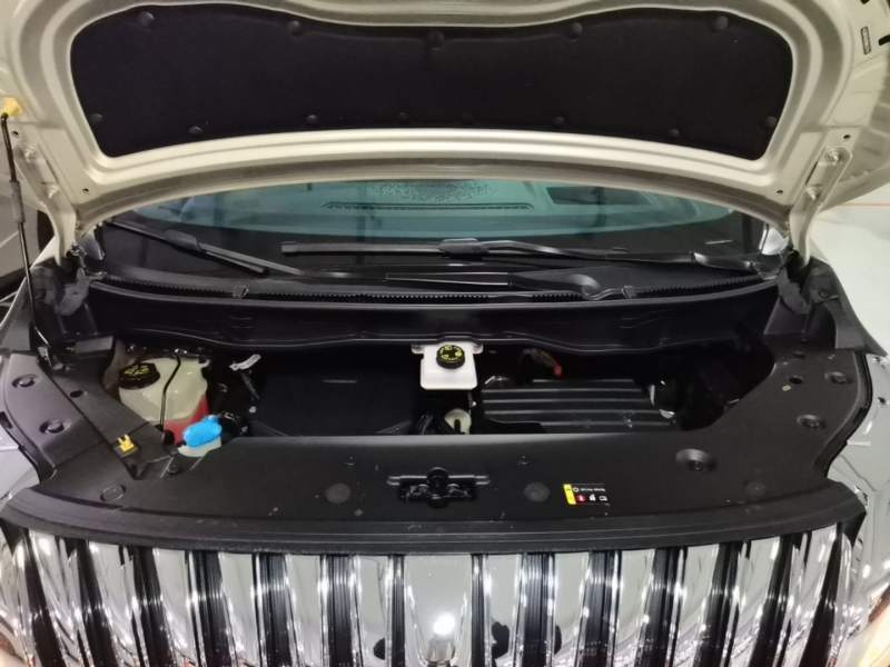 Used Wey Gaoshan 2023 Four-Wheel Drive Flagship Edition — 19