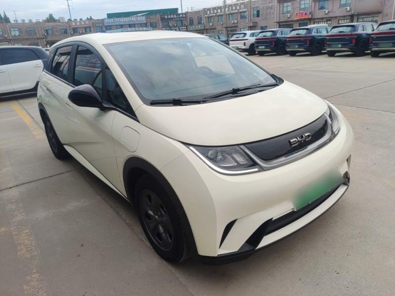 Used BYD Dolphin 2024 Honor Edition 302km Dynamic Version — 3