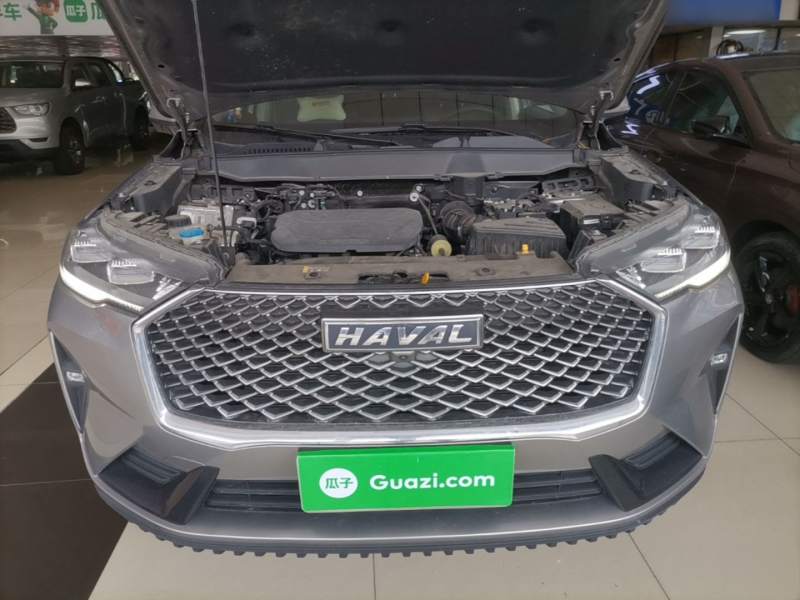 Used Haval H6 2022 3rd Generation 1.5T Automatic Two-Wheel Drive Max — 19