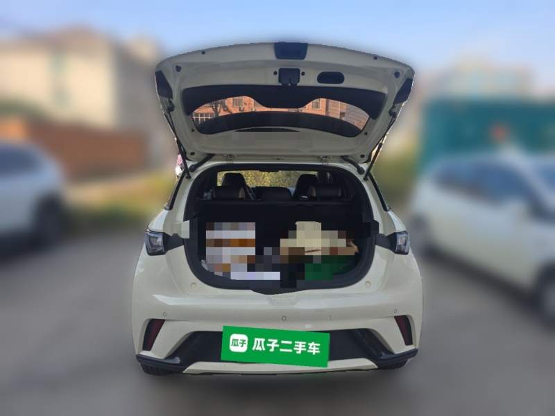 Used BYD Dolphin 2025 420km Free Edition — 15