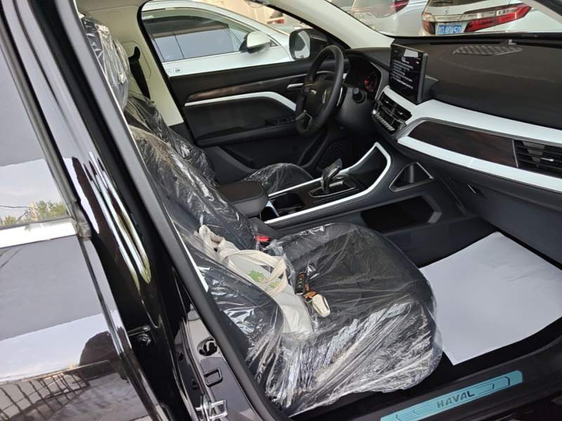 Used Haval H6 2023 National Trend Edition 1.5T Automatic Urban Version — 24