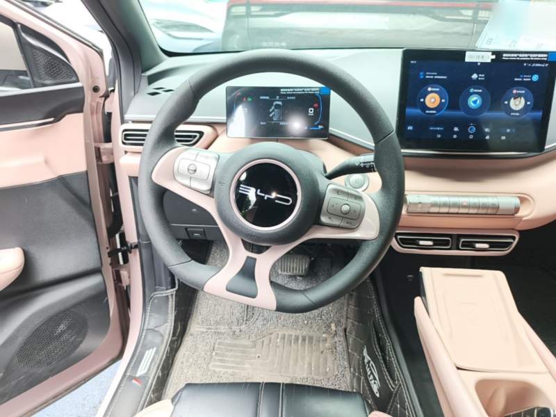 Used BYD Seagull 2023 Active Version — 10