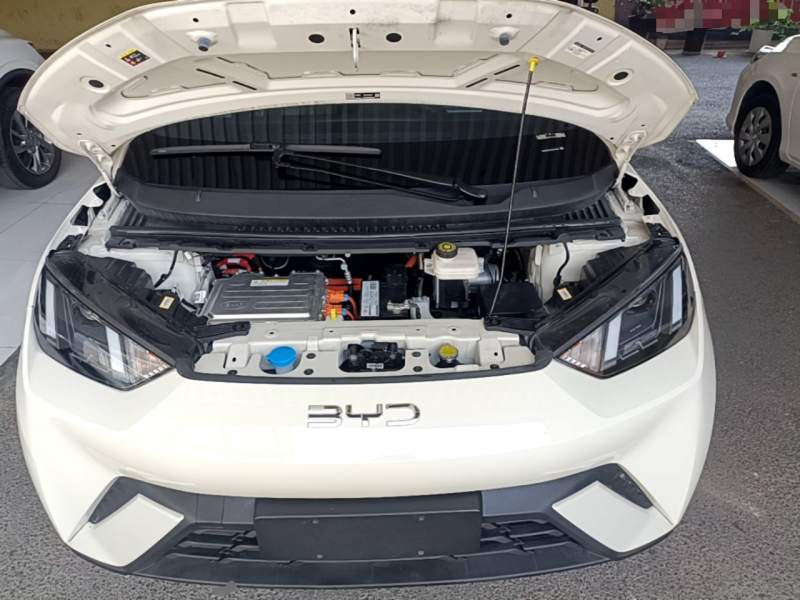 Used BYD Seagull 2023 Free Edition — 19