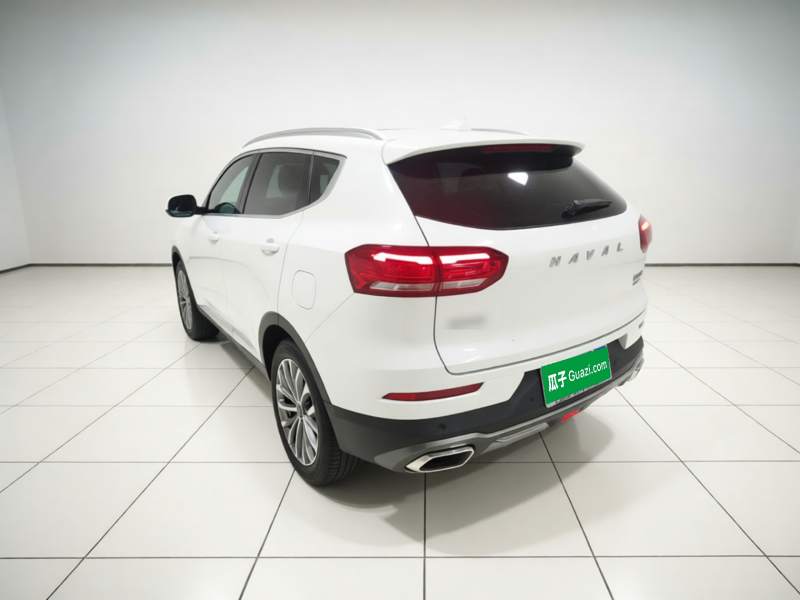 Used Haval H6 2020 2.0 GDIT Automatic Platinum Champion Edition — 4