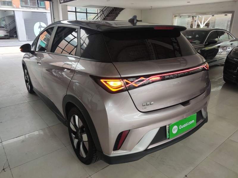 Used BYD Dolphin 2021 401km Knight Edition — 4