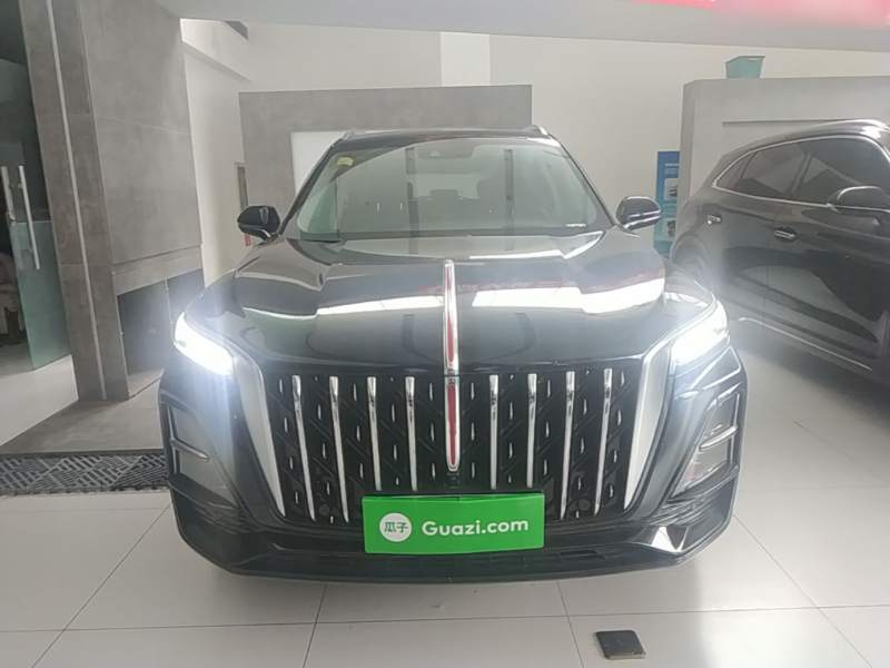 Used Hongqi HS5 2025 2.0T Two-Wheel Drive Flagship Pro Edition – Chinese Trim Xiang — 2