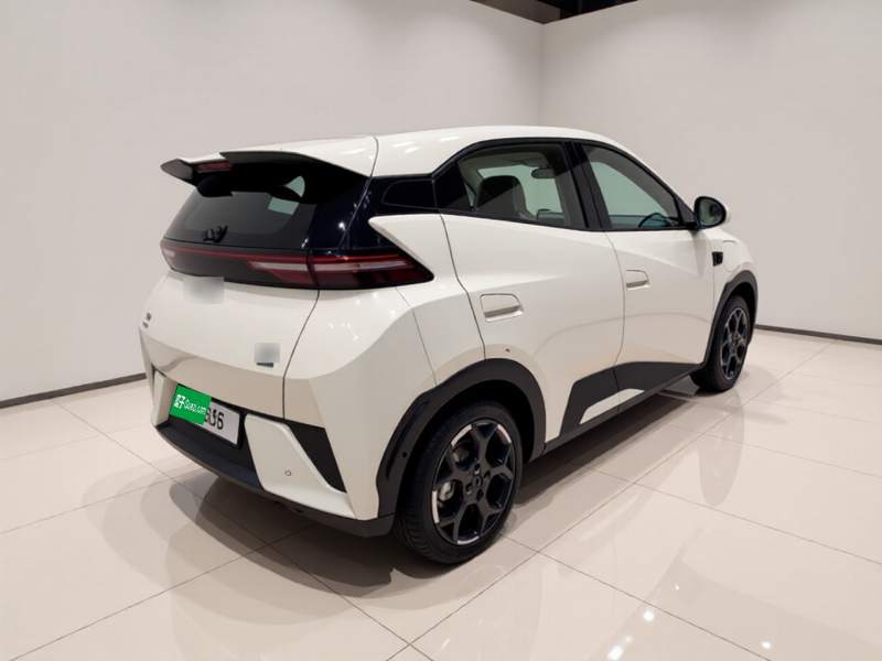 Used BYD Seagull 2025 Smart Drive Version 305 km Freedom Edition — 4