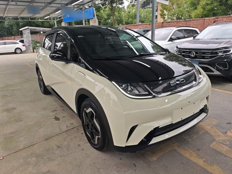 Used BYD Dolphin 2021 405 km Fashion Edition — 3
