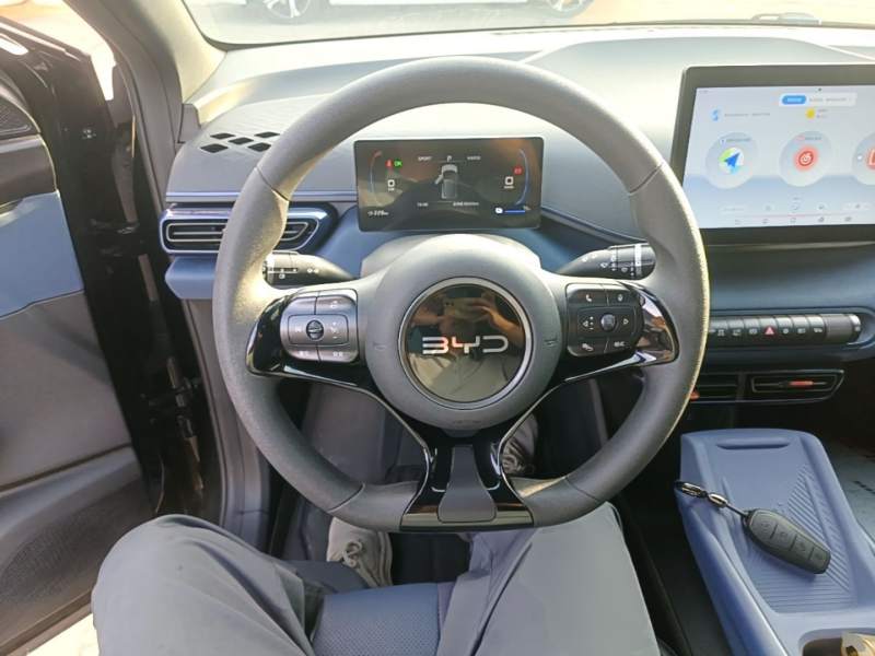 Used BYD Seagull 2024 Honor Edition 305km Dynamic Version — 10