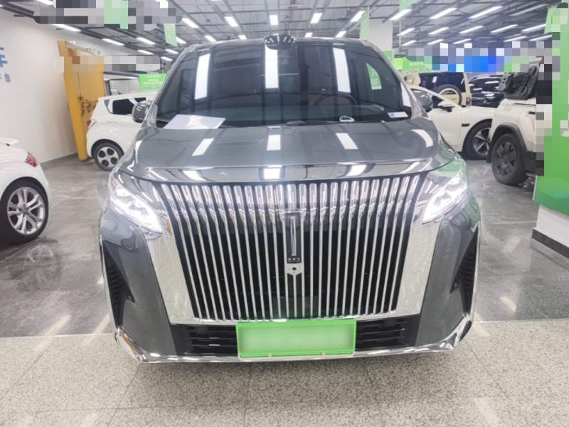 Used Wey Gaoshan 2025 Four-Wheel Drive Alpine 8 — 2