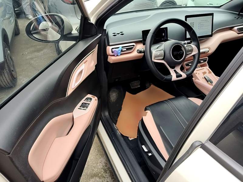Used BYD Seagull 2024 Honor Edition 305km Freedom Version — 15