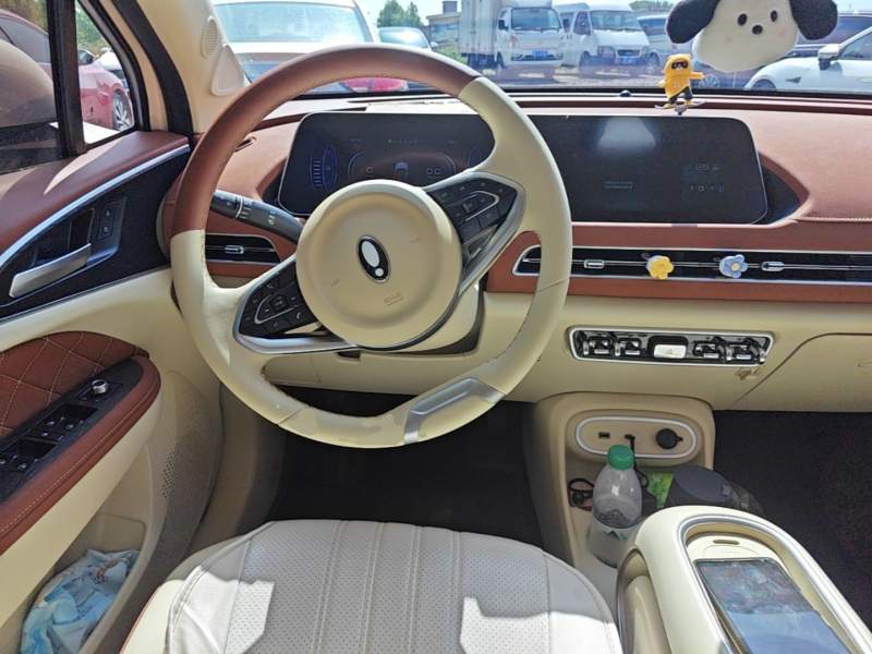 Used ORA Good Cat 2024 401 km Luxury Version — 10