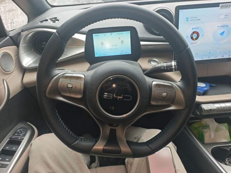 Used BYD Dolphin 2025 420km Free Edition — 10