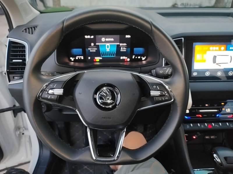 Used Skoda Karoq 2023 TSI280 Premium Edition — 10