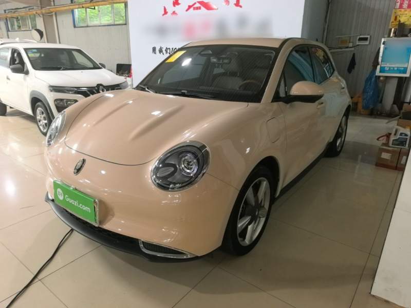 Used ORA Good Cat 2023 401 km Standard Range Luxury Version Lithium Iron Phosphate
