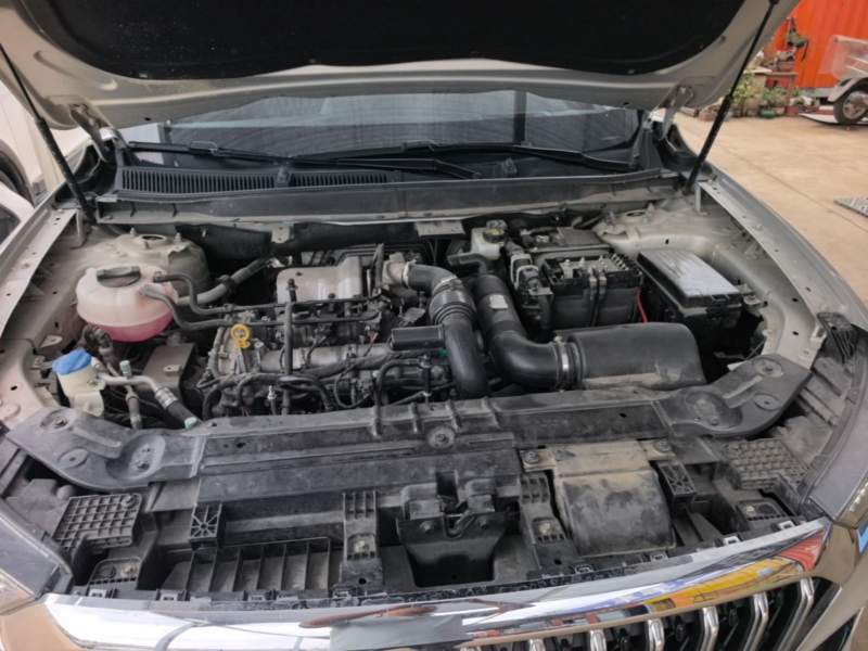 Used Hongqi HS5 2022 Facelifted Version 2.0T Smart Connect Flagship All-Wheel-Drive Edition — 19