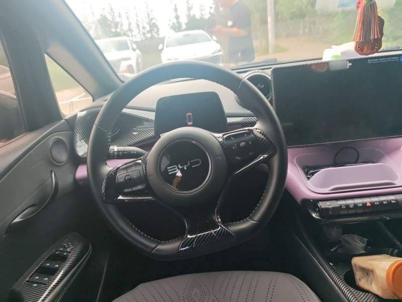 Used BYD Dolphin 2024 Honor Edition 420km Freedom Version — 2