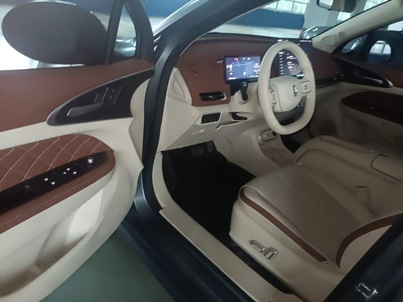 Used ORA Good Cat 2025 Model, 430 km Prestige Version — 17