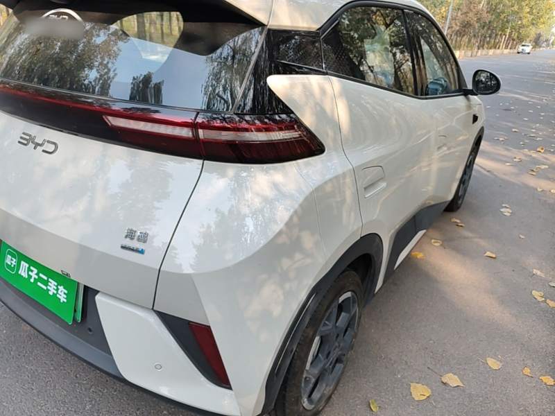 Used BYD Seagull 2025 Smart Drive Version 305 km Freedom Edition — 7