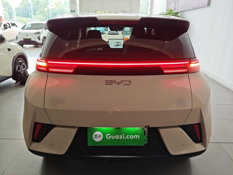 Used BYD Seagull 2025 Smart Drive Version 305 km Freedom Edition — 5