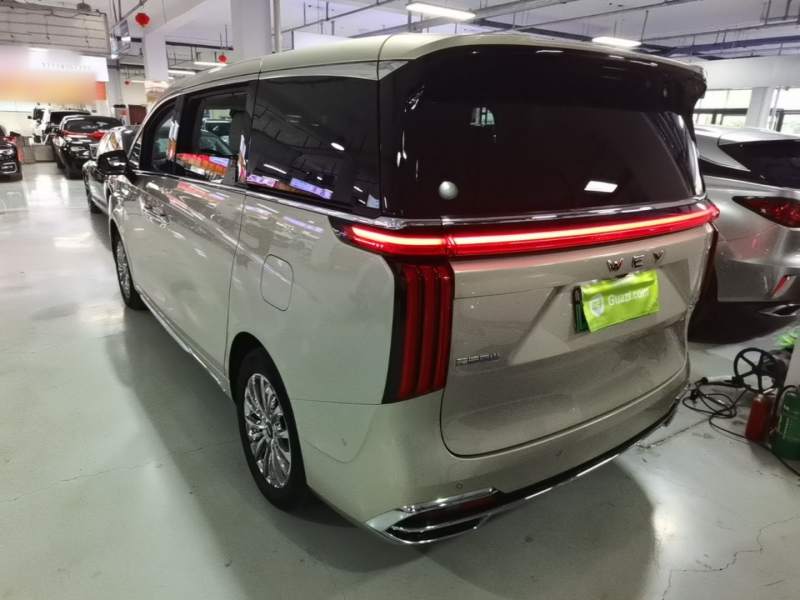 Used Wey Gaoshan 2023 Four-Wheel Drive Flagship Edition — 4