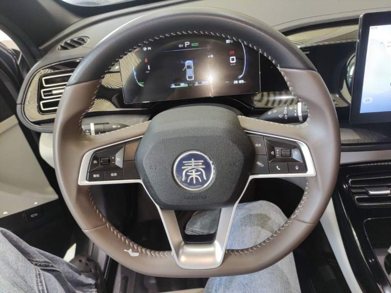 Used BYD Qin PLUS 2023 Champion Edition DM-i 55KM Leading Model — 10