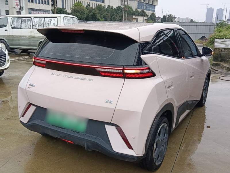 Used BYD Seagull 2024 Honor Edition 305km Freedom Version — 6