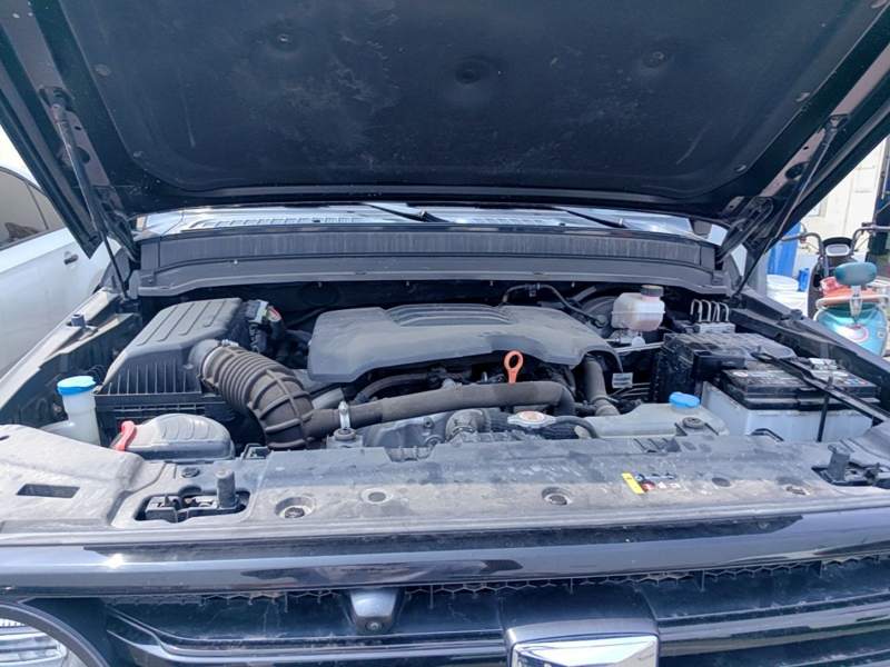 Used Tank 300 2021 Off-Road Edition 2.0T Challenger — 19