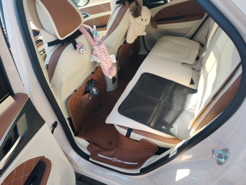 Used ORA Good Cat 2024 401 km Range Luxury Version 135 kW — 13