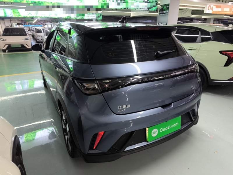 Used BYD Dolphin 2023 401km Knight Edition — 4