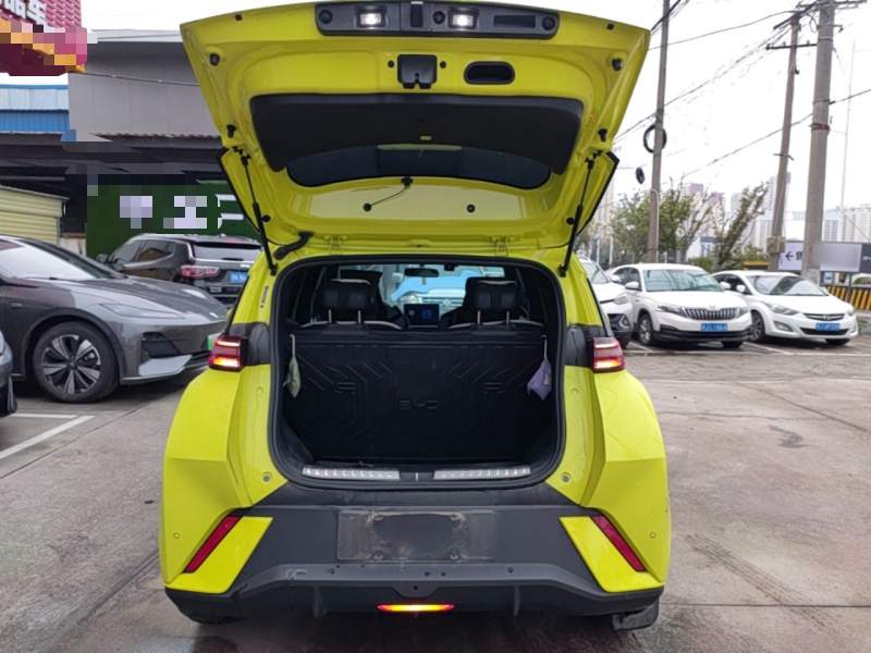 Used BYD Seagull 2023 Free Edition — 18