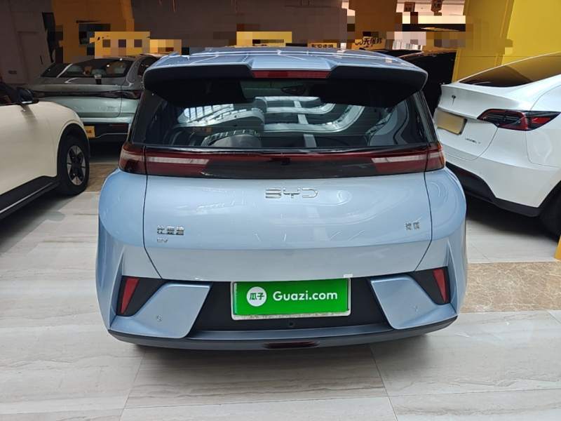 Used BYD Seagull 2025 Intelligent Driving Version 305 km Dynamic Edition — 5