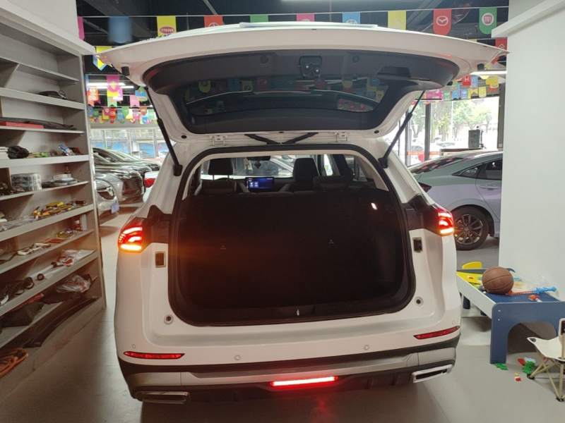 Used Haval H6 2023 National Trend Edition 1.5T Automatic Champion Version — 18