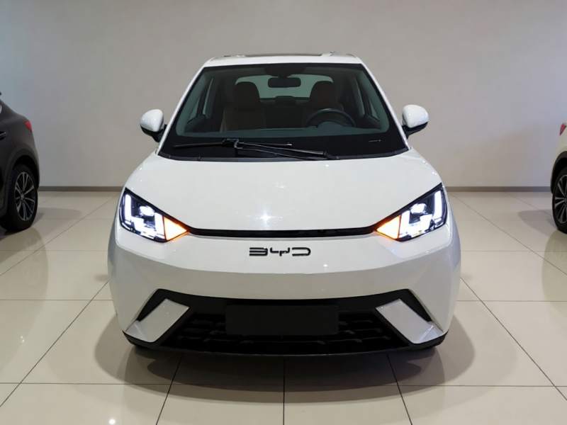 Used BYD Seagull 2023 Free Edition — 2