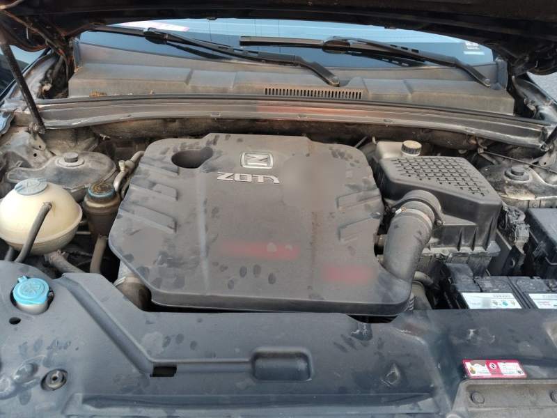 Used Zotye T600 2015 2.0T DCT Prestige Edition — 21
