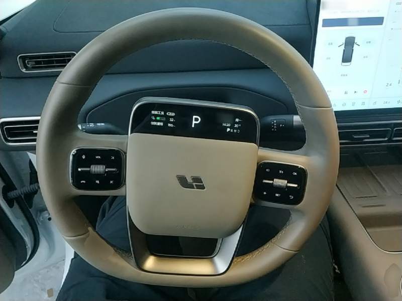 Used Li Auto MEGA 2025 Home Family Special Edition — 10