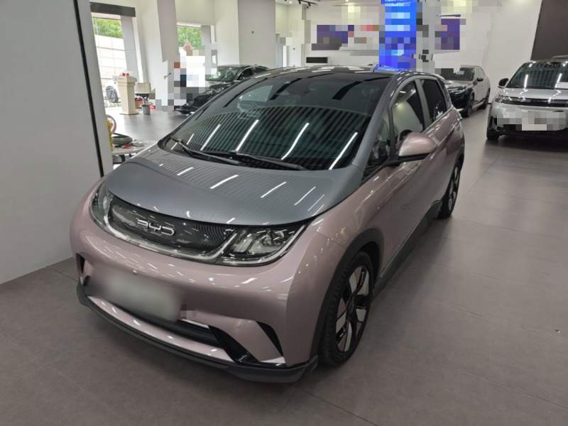 Used BYD Dolphin 2023 401km Knight Edition — 1
