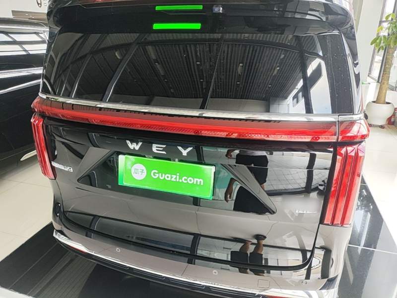 Used Wey Gaoshan 2025 Four-Wheel Drive Alpine 9 — 5